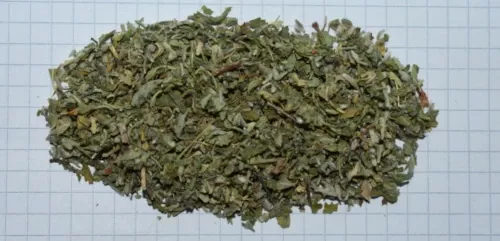 Turnera diffusa - Damianablätter, 100g