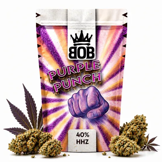 BOB HHZ Blüten | Purple Punch 40%
