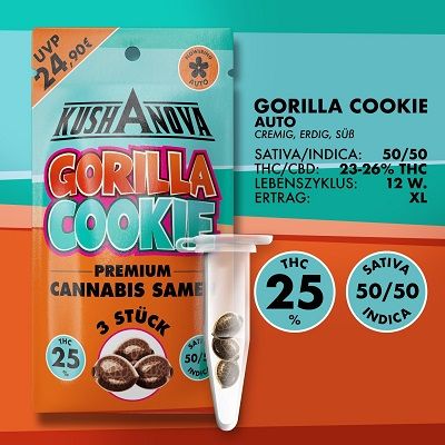 Kushanova Cannabissamen - Gorilla Cookie