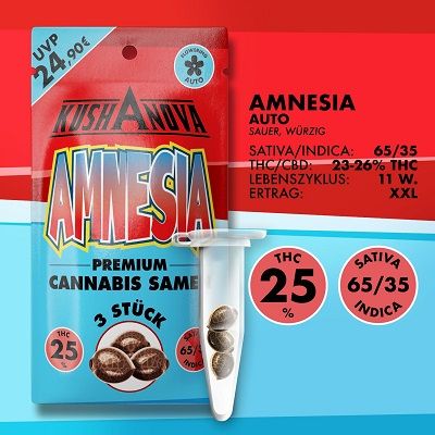 Kushanova Cannabissamen - Amnesia