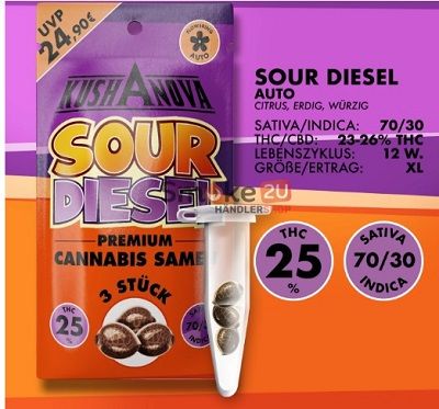 Kushanova Cannabissamen - Sour Diesel